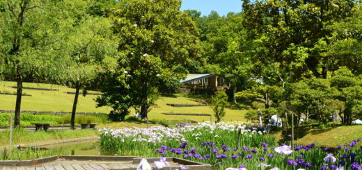 万博記念公園日本庭園